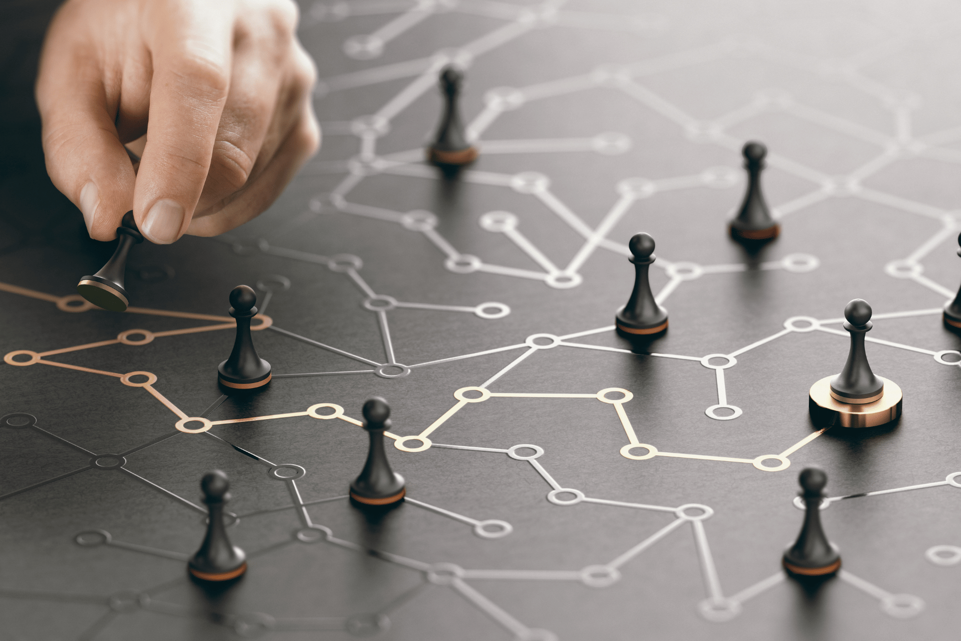 Market - SiMERF Yoga Health care - www.simerf.net